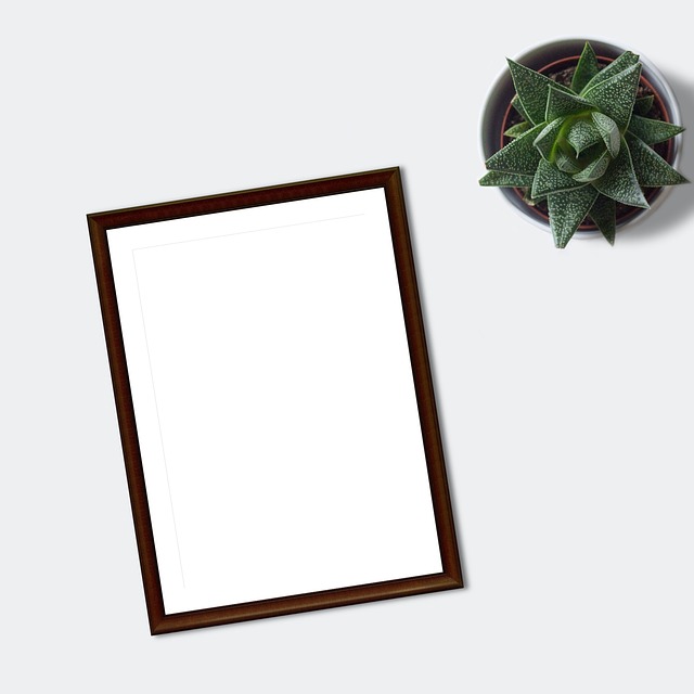 portfolio series presentation layout